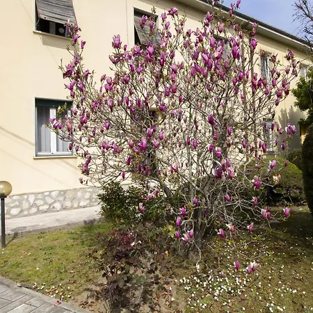Sunny Corner Apartment Pisa